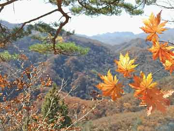 混沌剑神最新章节列表，探索无尽剑道的奥秘